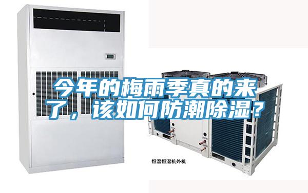 今年的梅雨季真的來了，該如何防潮除濕？