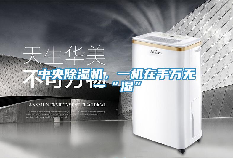 中央除濕機，一機在手萬無一“濕”