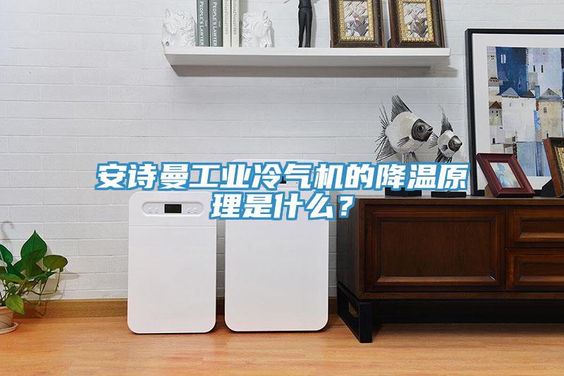 安詩(shī)曼工業(yè)冷氣機(jī)的降溫原理是什么？