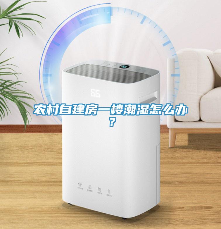 農(nóng)村自建房一樓潮濕怎么辦？