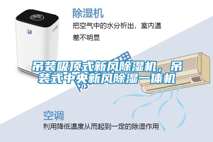 吊裝吸頂式新風(fēng)除濕機(jī)，吊裝式中央新風(fēng)除濕一體機(jī)