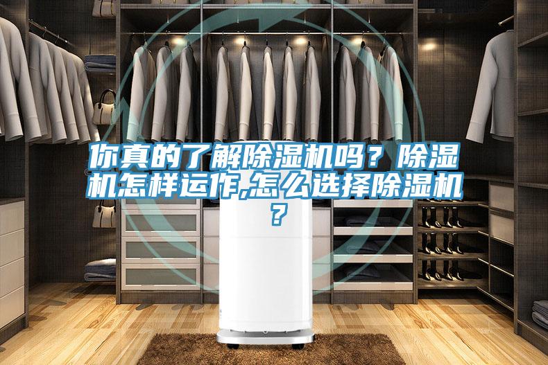 你真的了解除濕機(jī)嗎？除濕機(jī)怎樣運(yùn)作,怎么選擇除濕機(jī)？