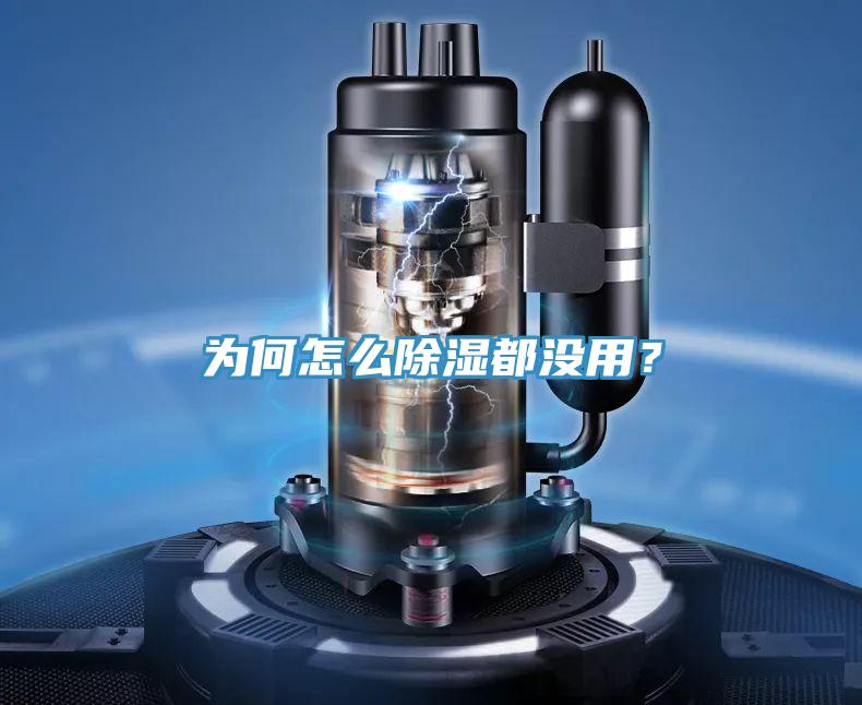 為何怎么除濕都沒用？