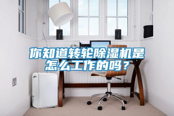 你知道轉(zhuǎn)輪除濕機(jī)是怎么工作的嗎？