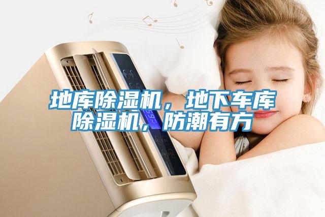 地庫除濕機(jī)，地下車庫除濕機(jī)，防潮有方