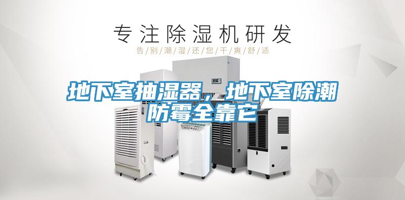 地下室抽濕器，地下室除潮防霉全靠它