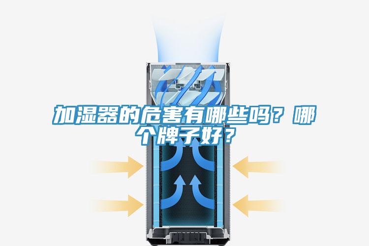 加濕器的危害有哪些嗎？哪個(gè)牌子好？