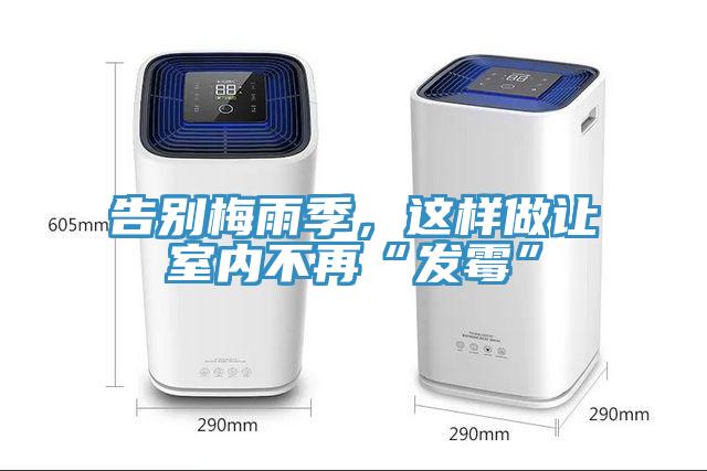 告別梅雨季，這樣做讓室內不再“發(fā)霉”