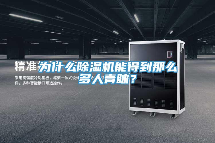 為什么除濕機(jī)能得到那么多人青睞？