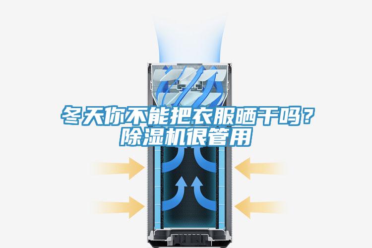 冬天你不能把衣服曬干嗎？除濕機(jī)很管用