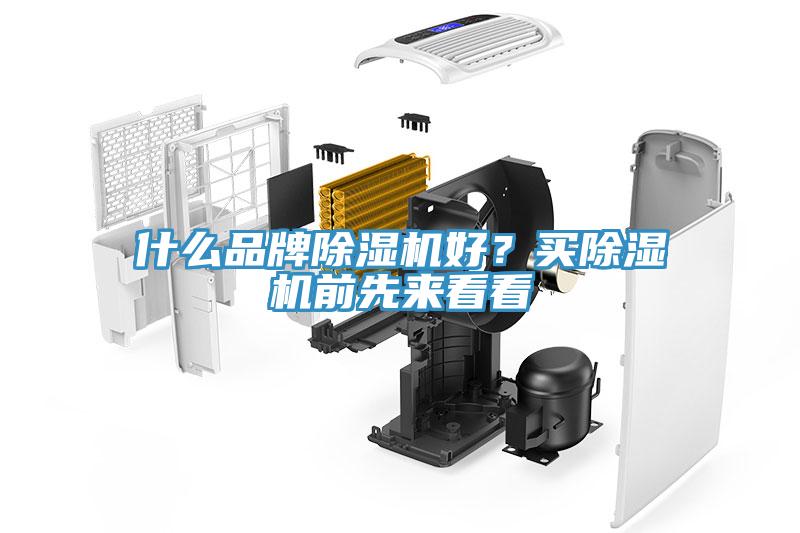 什么品牌除濕機好？買除濕機前先來看看