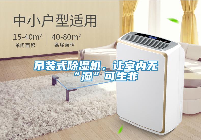 吊裝式除濕機(jī)，讓室內(nèi)無“濕”可生非