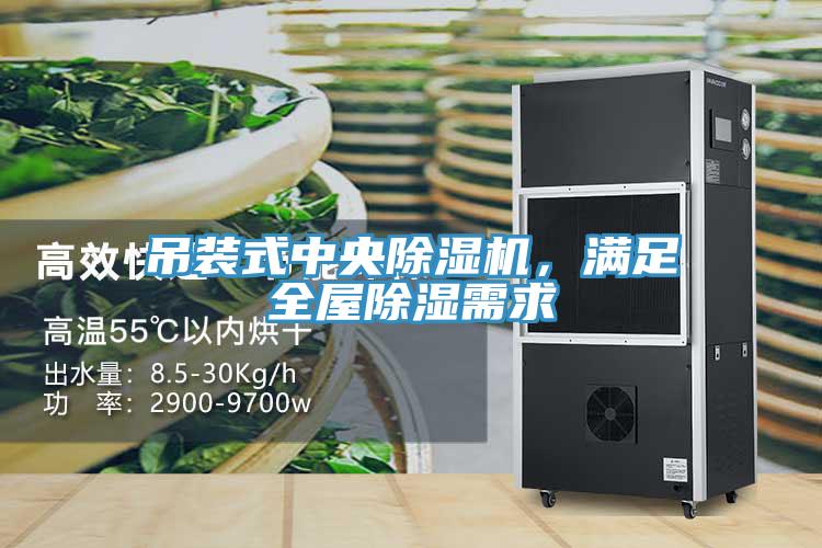 吊裝式中央除濕機(jī)，滿足全屋除濕需求