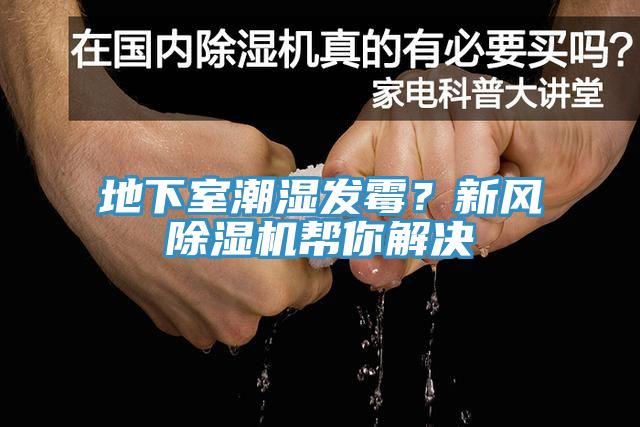 地下室潮濕發(fā)霉？新風(fēng)除濕機(jī)幫你解決