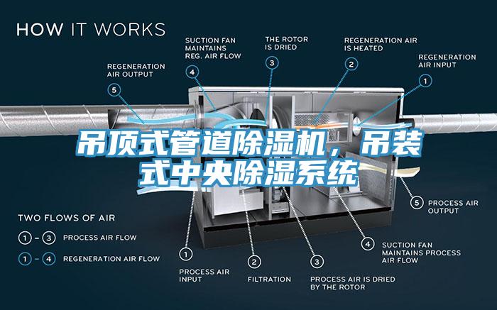 吊頂式管道除濕機(jī)，吊裝式中央除濕系統(tǒng)