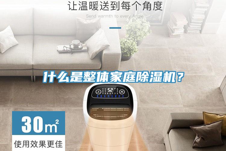 什么是整體家庭除濕機？