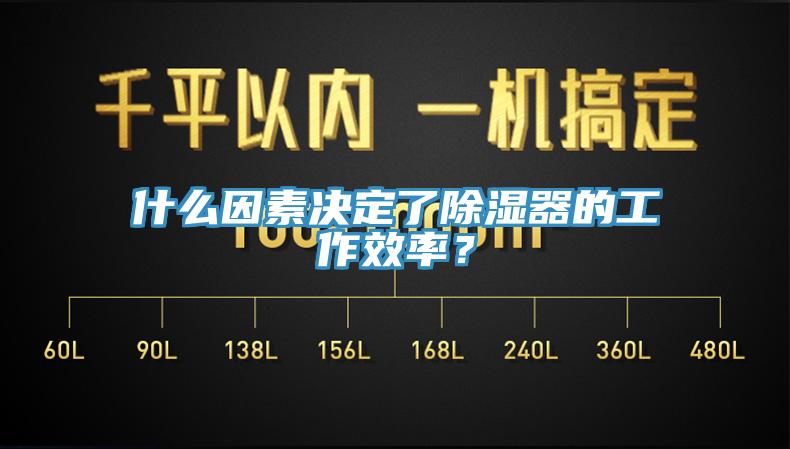 什么因素決定了除濕器的工作效率？