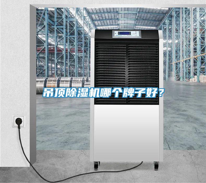 吊頂除濕機(jī)哪個(gè)牌子好？