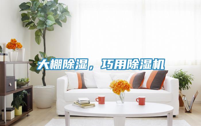 大棚除濕，巧用除濕機