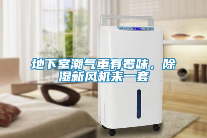 地下室潮氣重有霉味，除濕新風(fēng)機(jī)來(lái)一套