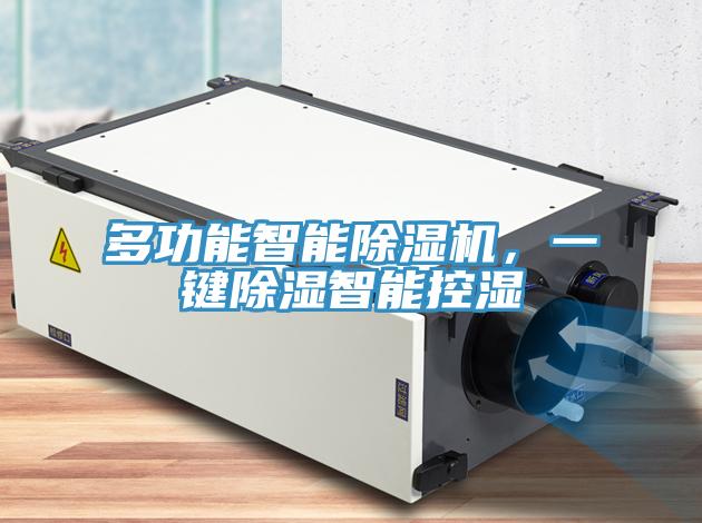 多功能智能除濕機(jī)，一鍵除濕智能控濕