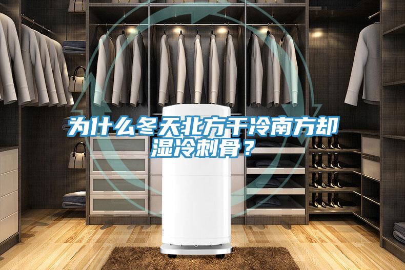 為什么冬天北方干冷南方卻濕冷刺骨？