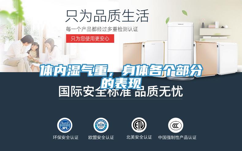 體內(nèi)濕氣重，身體各個部分的表現(xiàn)