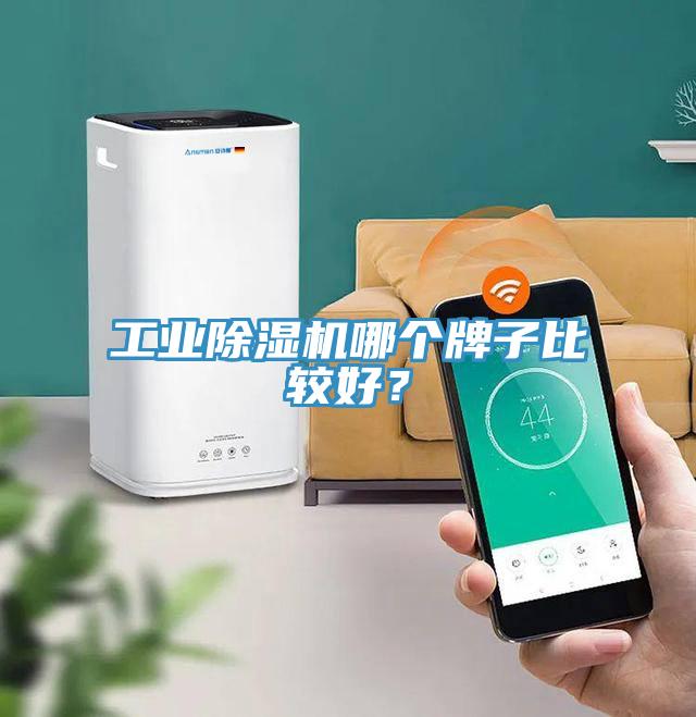 工業(yè)除濕機(jī)哪個(gè)牌子比較好？