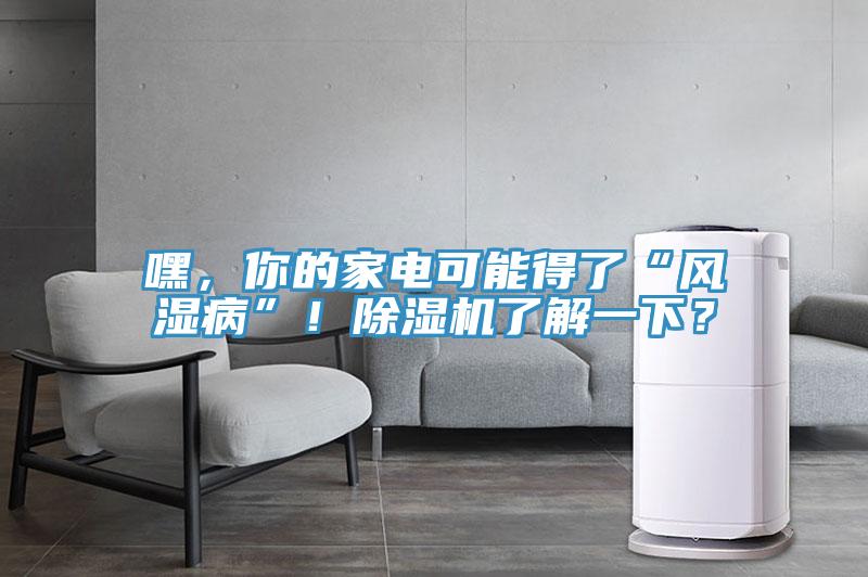 嘿，你的家電可能得了“風(fēng)濕病”！除濕機(jī)了解一下？