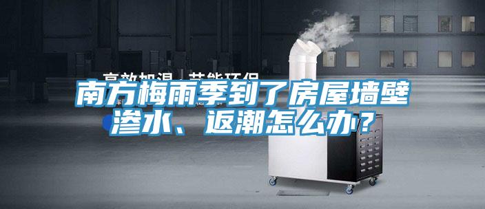 南方梅雨季到了房屋墻壁滲水、返潮怎么辦？