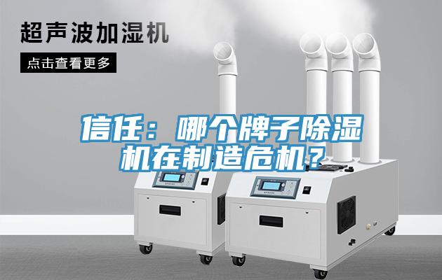 信任：哪個(gè)牌子除濕機(jī)在制造危機(jī)？