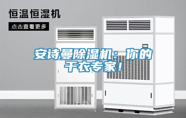安詩曼除濕機：你的干衣專家！