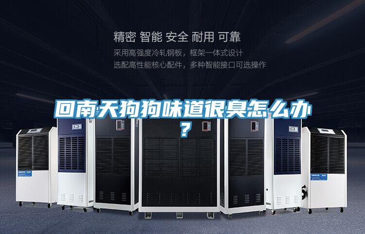 回南天狗狗味道很臭怎么辦？