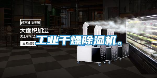 工業(yè)干燥除濕機(jī)。