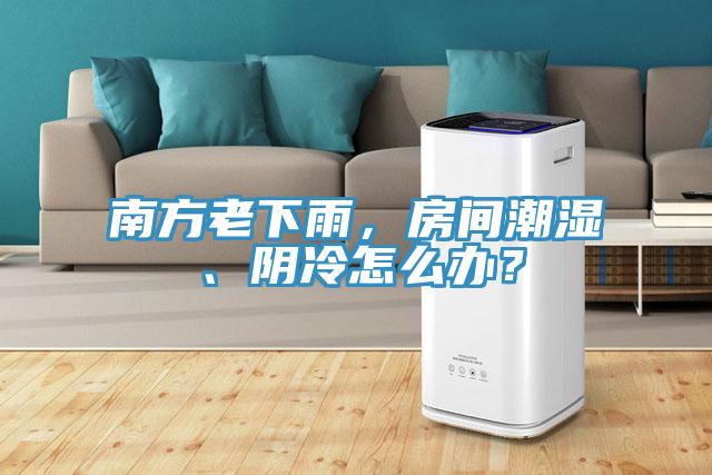 南方老下雨，房間潮濕、陰冷怎么辦？