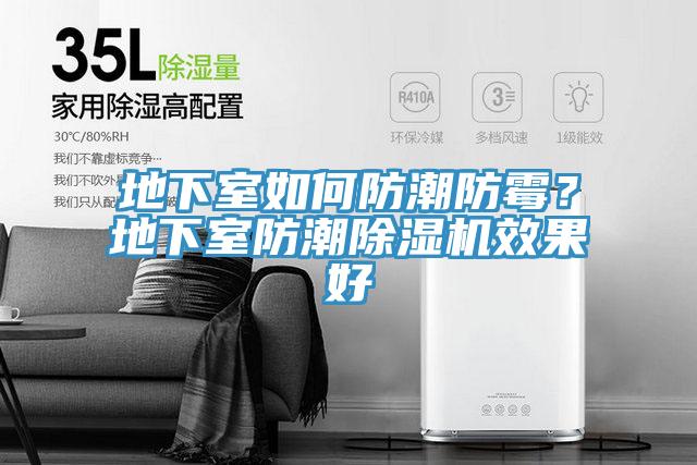 地下室如何防潮防霉？地下室防潮除濕機效果好
