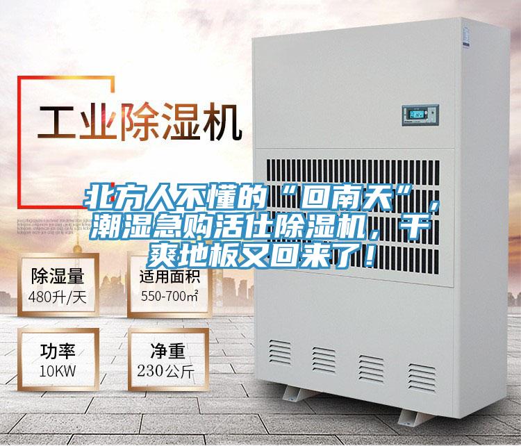 北方人不懂的“回南天”，潮濕急購活仕除濕機，干爽地板又回來了！