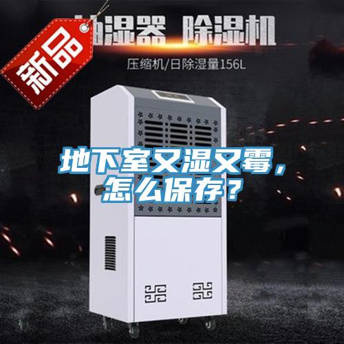 地下室又濕又霉，怎么保存？
