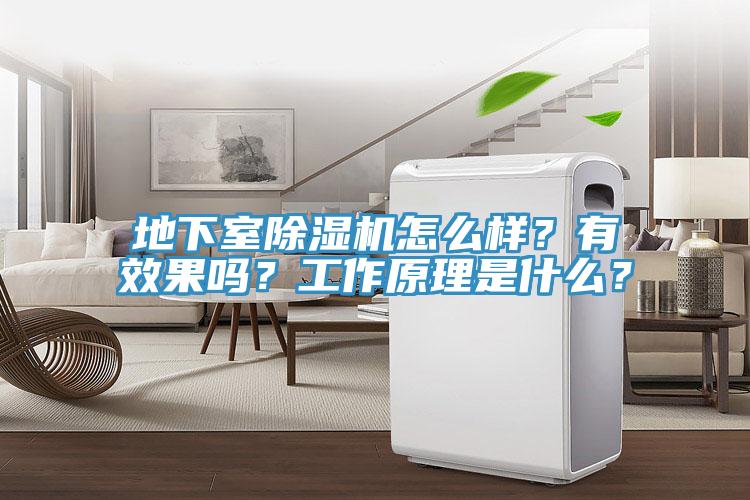 地下室除濕機怎么樣？有效果嗎？工作原理是什么？