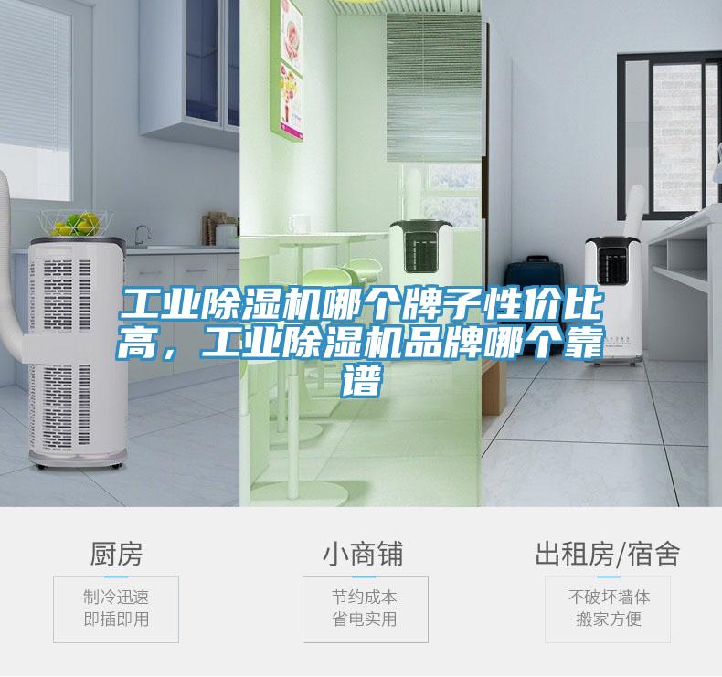 工業(yè)除濕機(jī)哪個牌子性價比高，工業(yè)除濕機(jī)品牌哪個靠譜