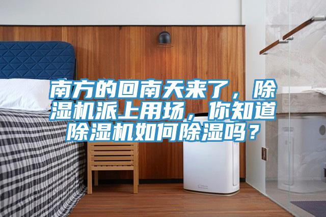南方的回南天來了，除濕機(jī)派上用場(chǎng)，你知道除濕機(jī)如何除濕嗎？