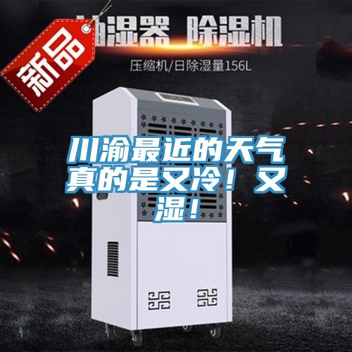 川渝最近的天氣真的是又冷！又濕！
