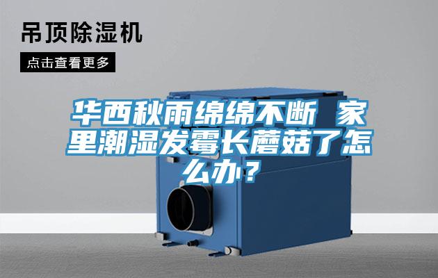 華西秋雨綿綿不斷 家里潮濕發(fā)霉長蘑菇了怎么辦？
