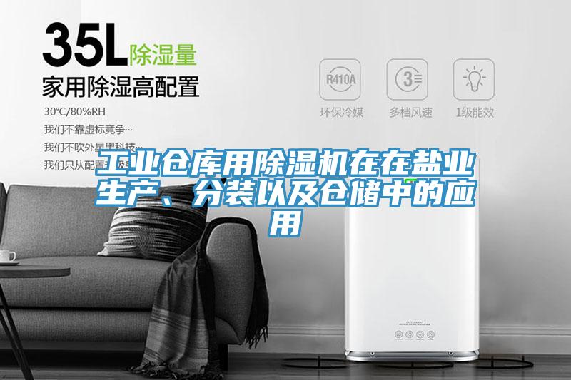 工業(yè)倉庫用除濕機在在鹽業(yè)生產(chǎn)、分裝以及倉儲中的應用
