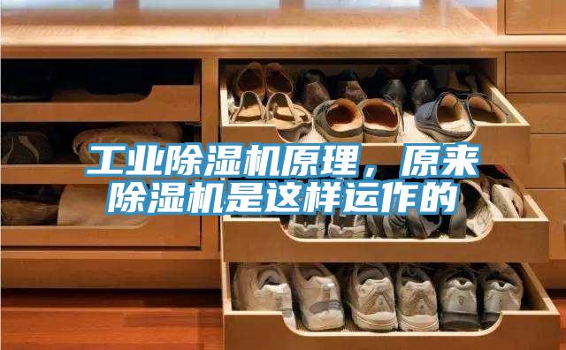 工業(yè)除濕機(jī)原理，原來(lái)除濕機(jī)是這樣運(yùn)作的