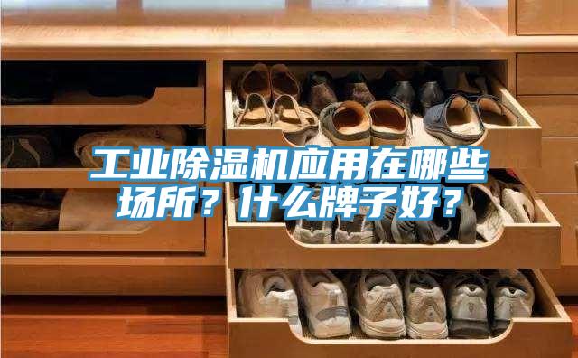 工業(yè)除濕機(jī)應(yīng)用在哪些場(chǎng)所？什么牌子好？