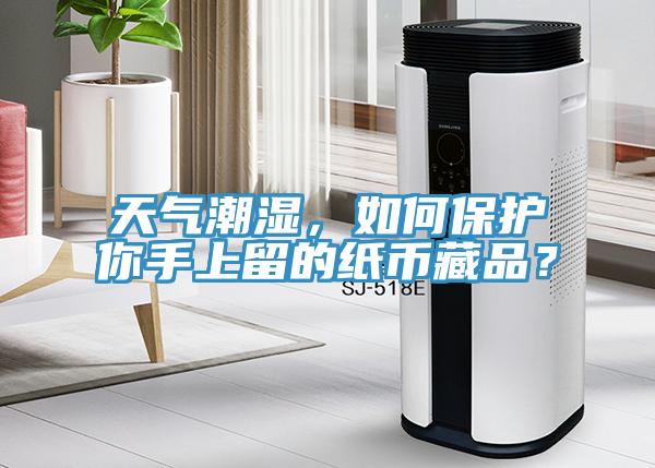 天氣潮濕，如何保護(hù)你手上留的紙幣藏品？