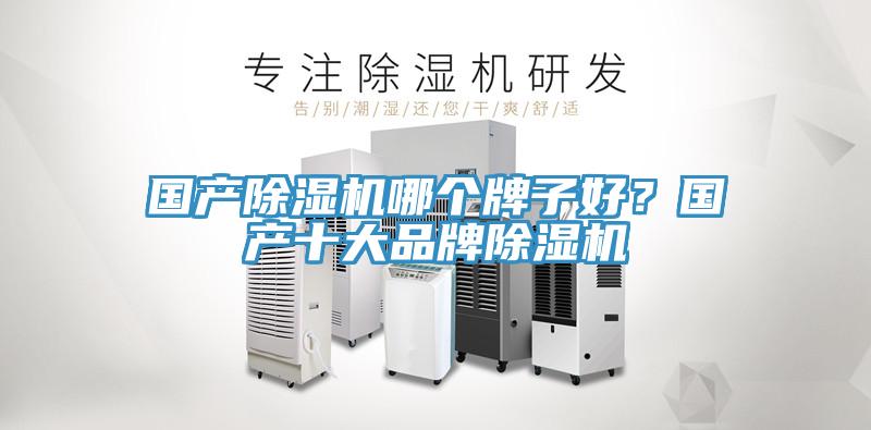 國產(chǎn)除濕機(jī)哪個(gè)牌子好？國產(chǎn)十大品牌除濕機(jī)