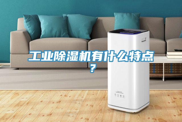 工業(yè)除濕機(jī)有什么特點(diǎn)？