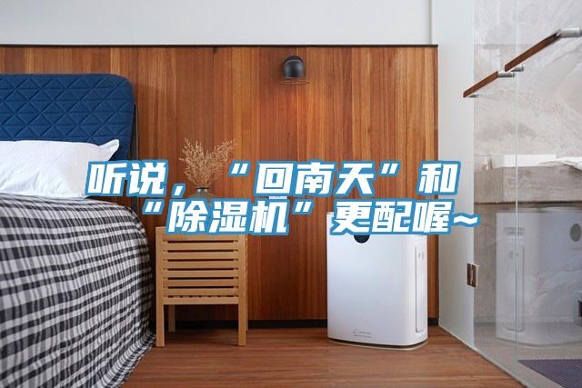 聽說，“回南天”和“除濕機”更配喔~